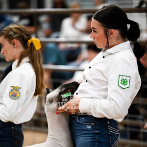 Meet your Posher, Mackley